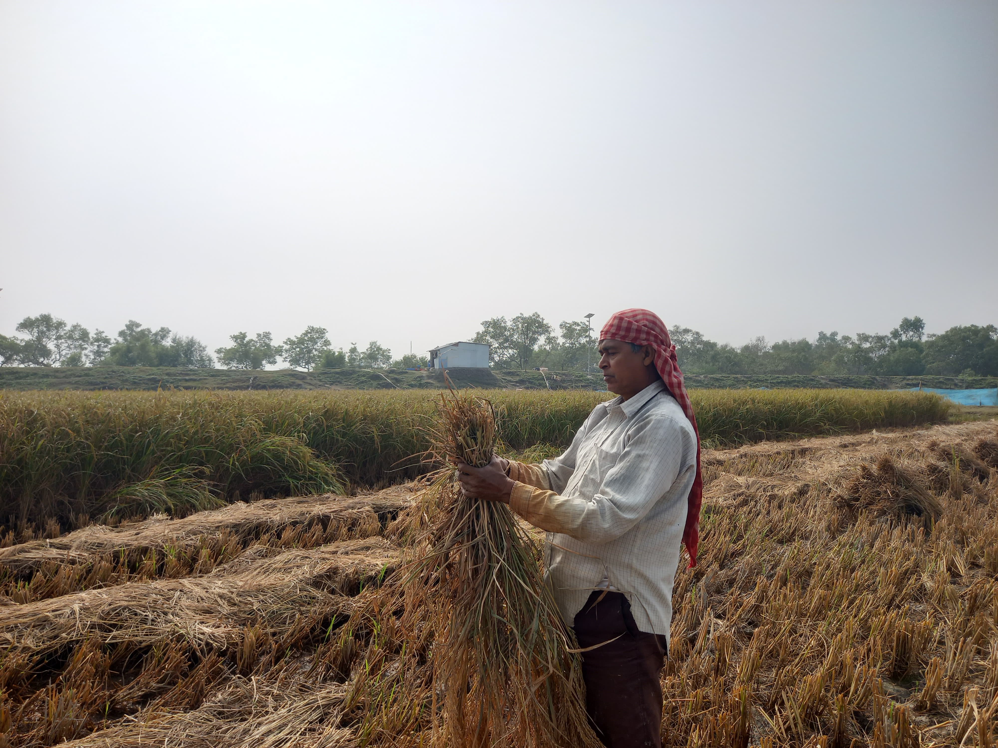 Field Work